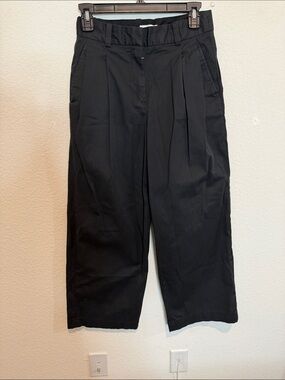 Babaton Aritzia The Effortless Pant Wide Leg Black Pleated Trousers Women’s